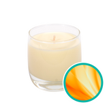 Amy's First - Sensual Amber Essential Oil Soy Candle - 8 oz